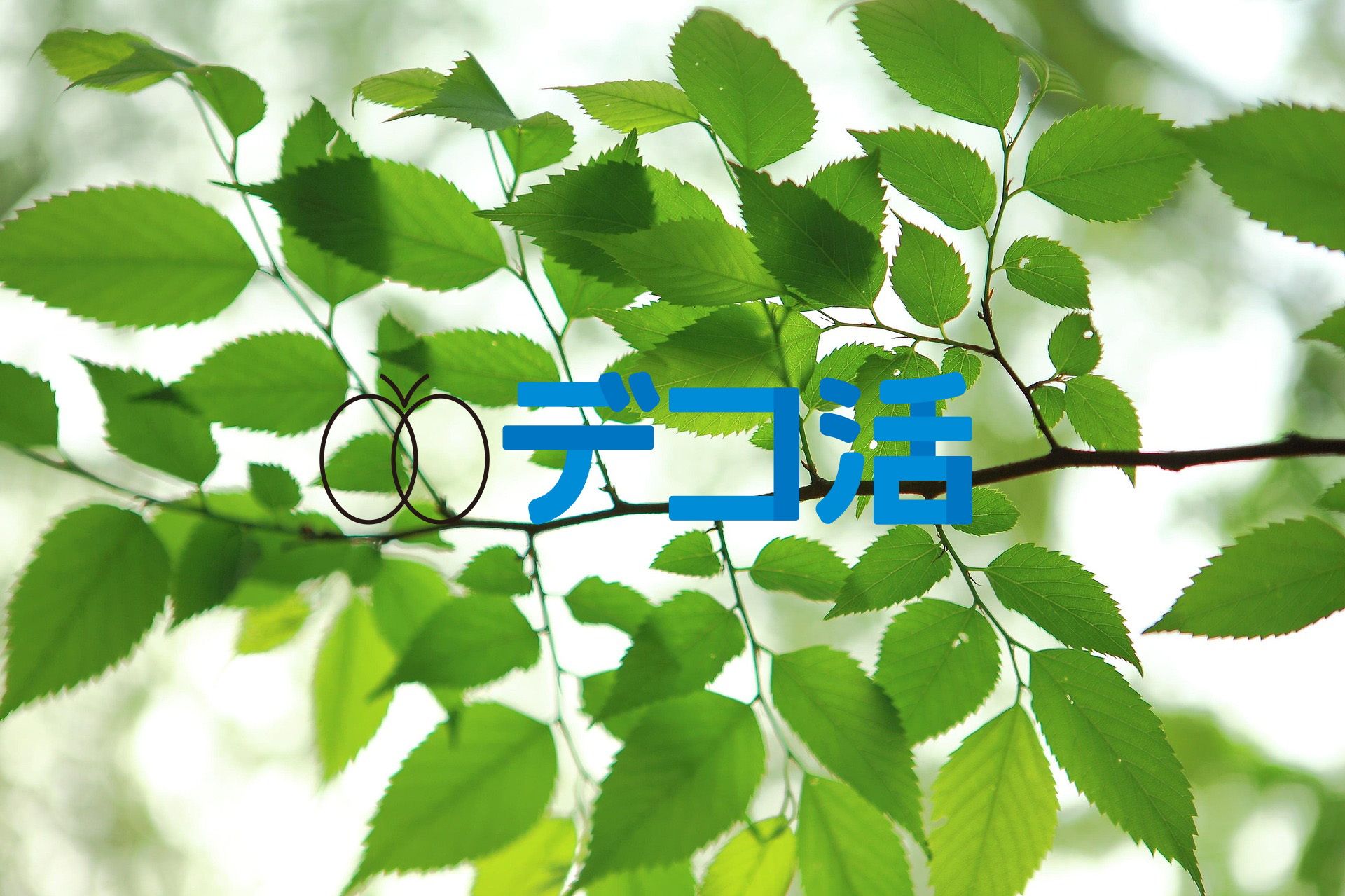 "Fun to share"お画像